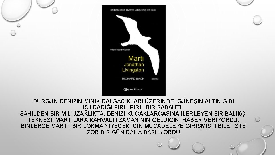DURGUN DENIZIN MINIK DALGACIKLARI ÜZERINDE, GÜNEŞIN ALTIN GIBI IŞILDADIĞI PIRIL BIR SABAHTI. SAHILDEN BIR