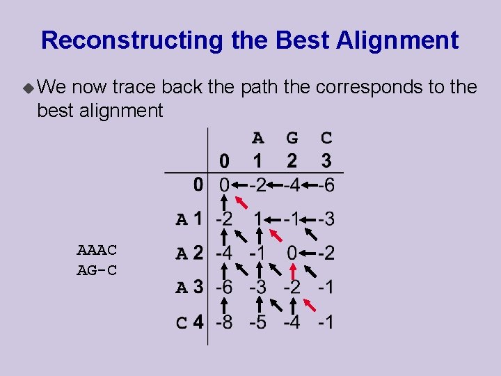 Reconstructing the Best Alignment u We now trace back the path the corresponds to Reconstructing the Best Alignment u We now trace back the path the corresponds to