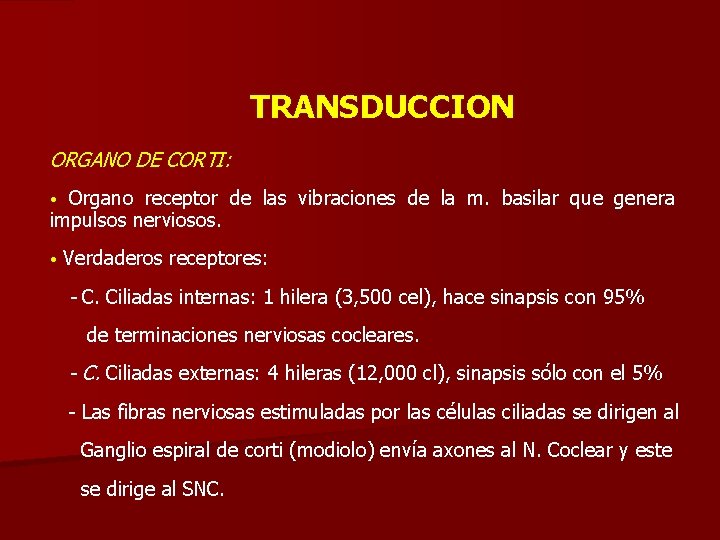TRANSDUCCION ORGANO DE CORTI: Organo receptor de las vibraciones de la m. basilar que
