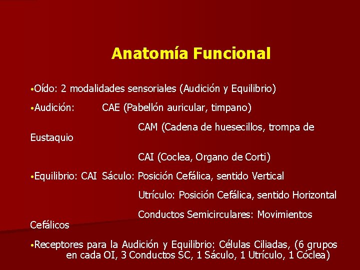Anatomía Funcional • Oído: 2 modalidades sensoriales (Audición y Equilibrio) • Audición: CAE (Pabellón