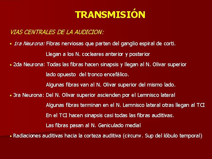 TRANSMISIÓN VIAS CENTRALES DE LA AUDICION: • 1 ra Neurona: Fibras nerviosas que parten