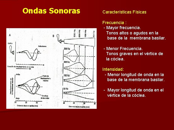 Ondas Sonoras Características Físicas Frecuencia : - Mayor frecuencia. Tonos altos o agudos en
