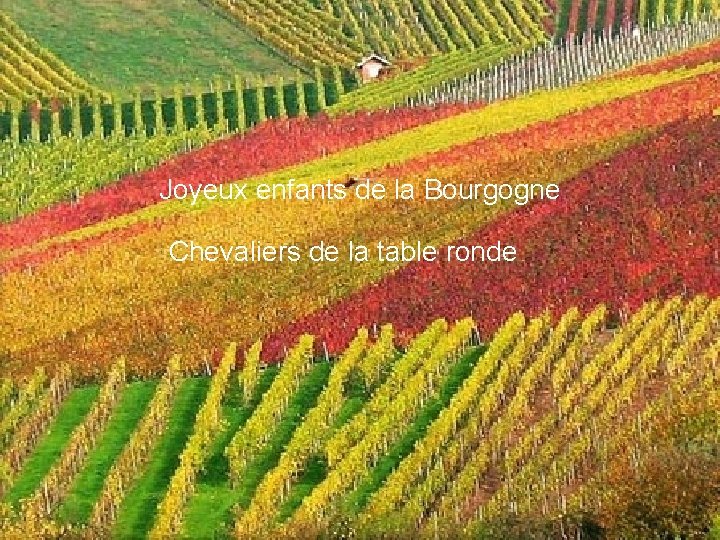 Joyeux enfants de la Bourgogne Chevaliers de la table ronde 