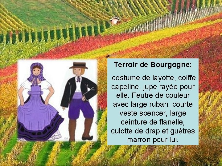 Terroir de Bourgogne: costume de layotte, coiffe capeline, jupe rayée pour elle. Feutre de