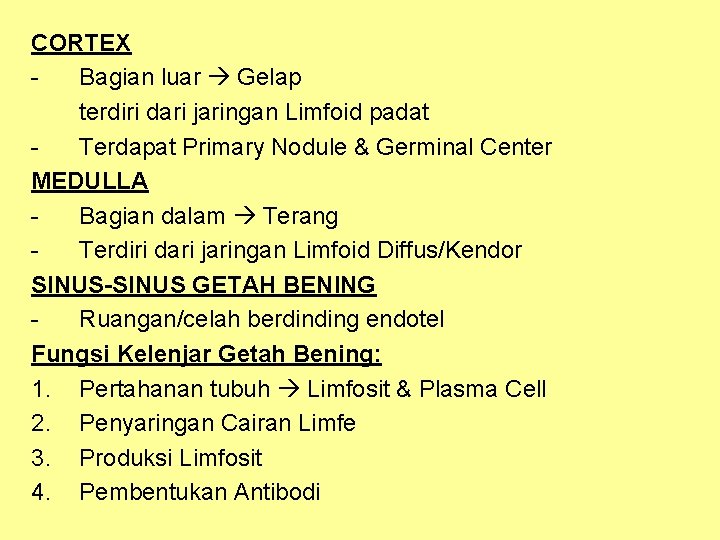 CORTEX Bagian luar Gelap terdiri dari jaringan Limfoid padat Terdapat Primary Nodule & Germinal