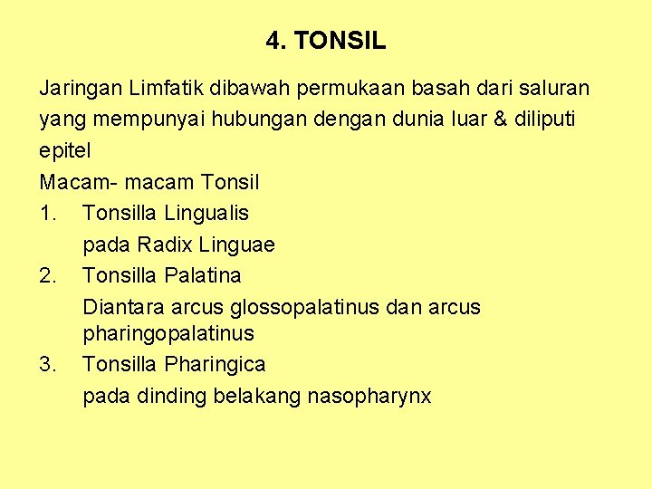 4. TONSIL Jaringan Limfatik dibawah permukaan basah dari saluran yang mempunyai hubungan dengan dunia