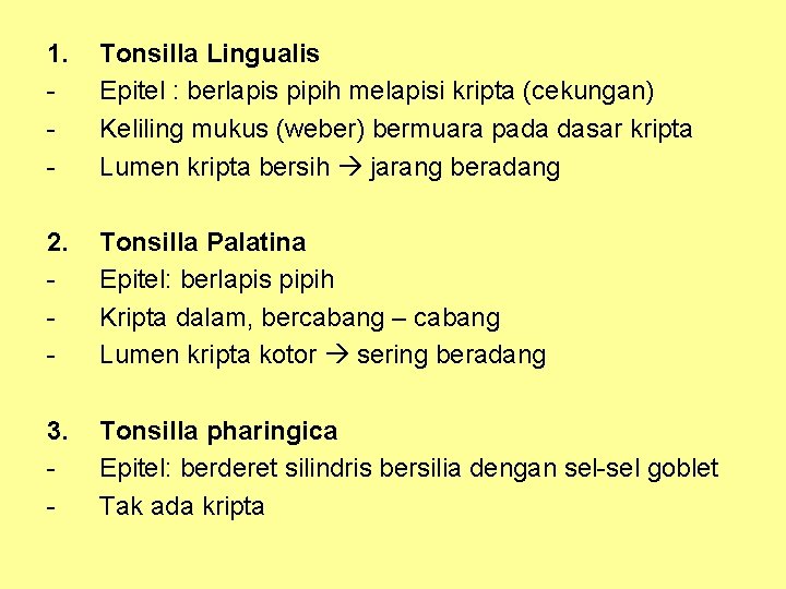 1. - Tonsilla Lingualis Epitel : berlapis pipih melapisi kripta (cekungan) Keliling mukus (weber)