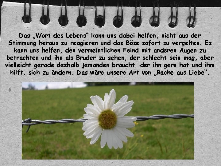 Das „Wort des Lebens“ kann uns dabei helfen, nicht aus der Stimmung heraus zu