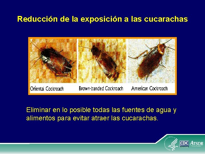 Reducción de la exposición a las cucarachas Eliminar en lo posible todas las fuentes