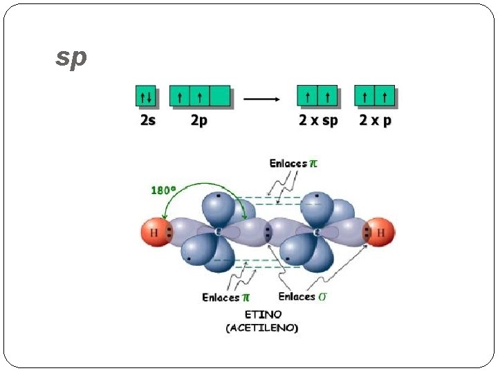 sp 