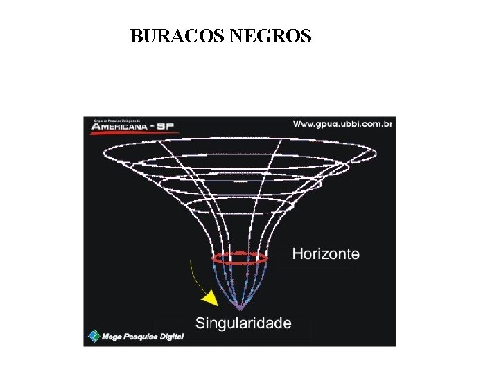 BURACOS NEGROS 