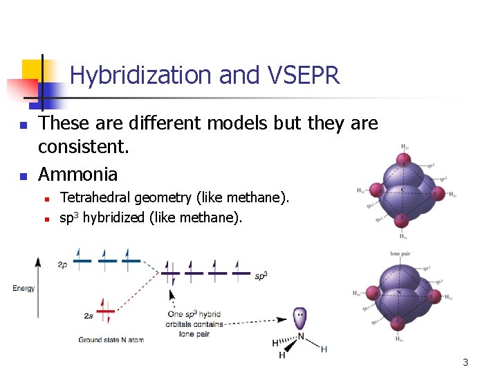 Hybridization and VSEPR n n These are different models but they are consistent. Ammonia