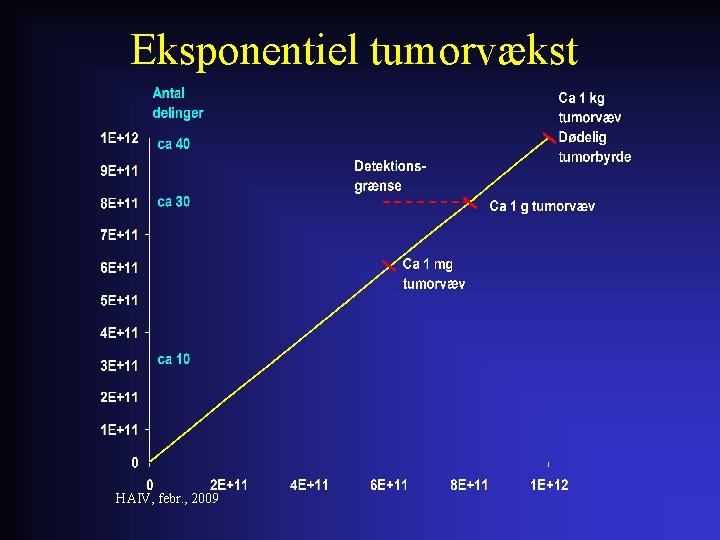 Eksponentiel tumorvækst HAIV, febr. , 2009 