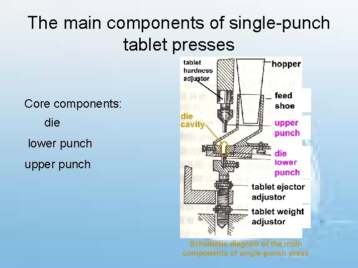 The main components of single-punch tablet presses Core components: die lower punch upper punch
