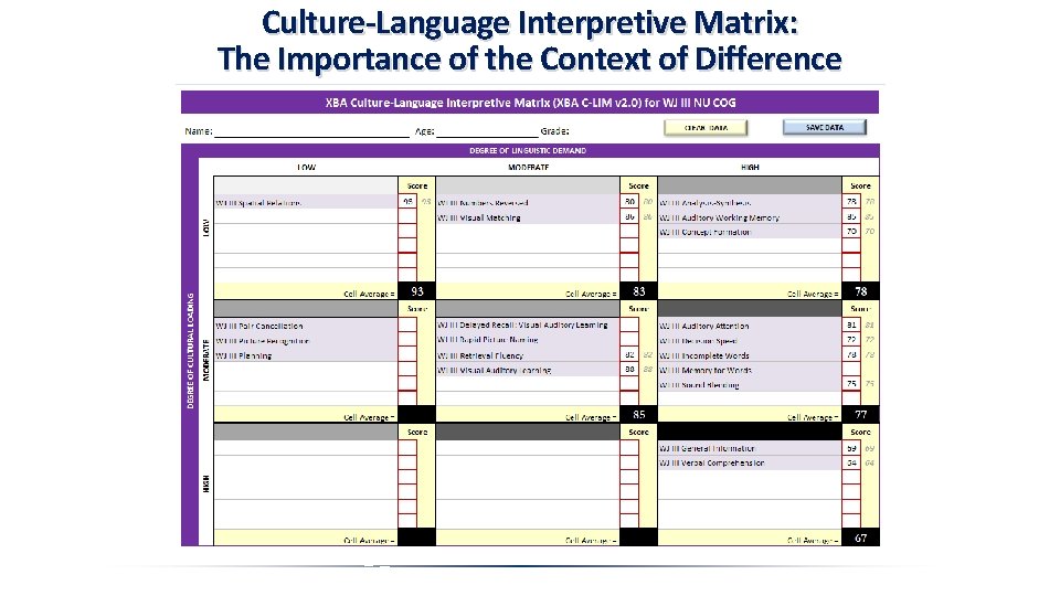 Culture-Language Interpretive Matrix: The Importance of the Context of Difference 