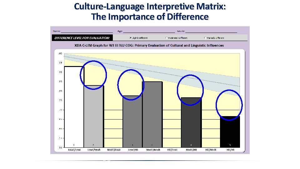 Culture-Language Interpretive Matrix: The Importance of Difference 