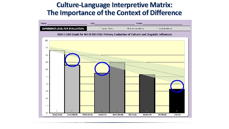 Culture-Language Interpretive Matrix: The Importance of the Context of Difference 