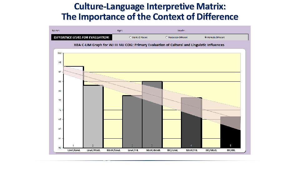 Culture-Language Interpretive Matrix: The Importance of the Context of Difference 