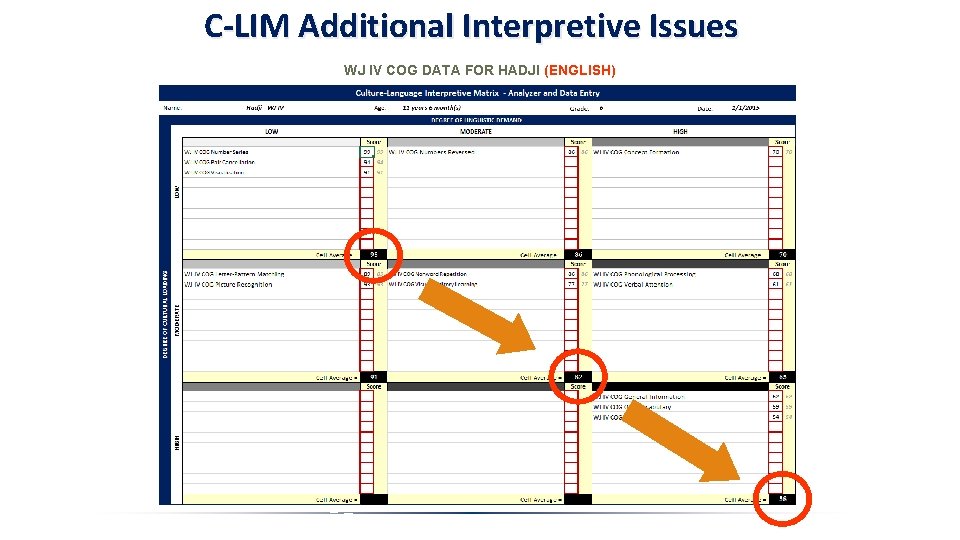 C-LIM Additional Interpretive Issues WJ IV COG DATA FOR HADJI (ENGLISH) 