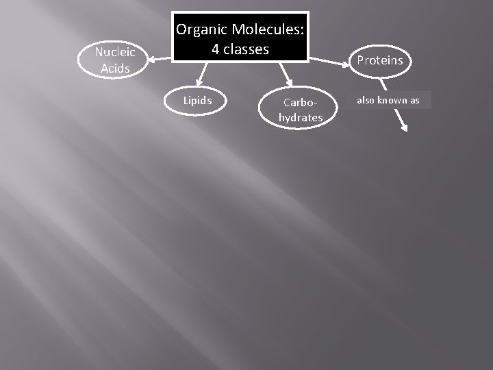 Nucleic Acids Organic Molecules: 4 classes Lipids Carbohydrates Proteins also known as 