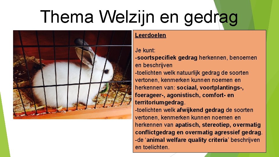Thema Welzijn en gedrag Leerdoelen Je kunt: -soortspecifiek gedrag herkennen, benoemen en beschrijven -toelichten