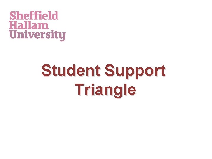 Student Support Triangle 