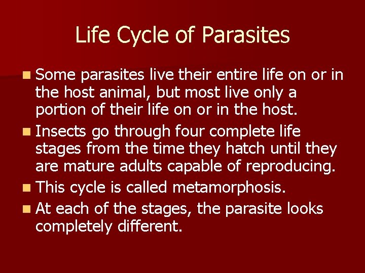 Life Cycle of Parasites n Some parasites live their entire life on or in