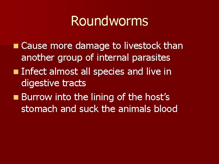 Roundworms n Cause more damage to livestock than another group of internal parasites n