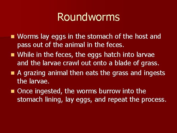 Roundworms n n Worms lay eggs in the stomach of the host and pass