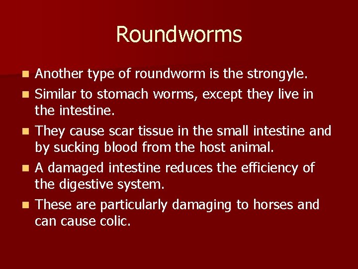 Roundworms n n n Another type of roundworm is the strongyle. Similar to stomach