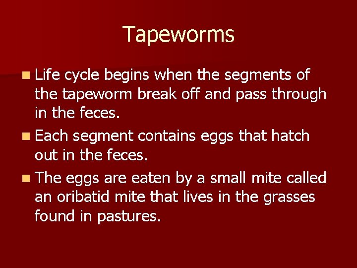 Tapeworms n Life cycle begins when the segments of the tapeworm break off and