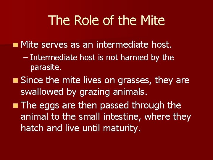 The Role of the Mite n Mite serves as an intermediate host. – Intermediate