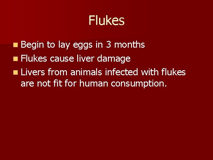 Flukes n Begin to lay eggs in 3 months n Flukes cause liver damage