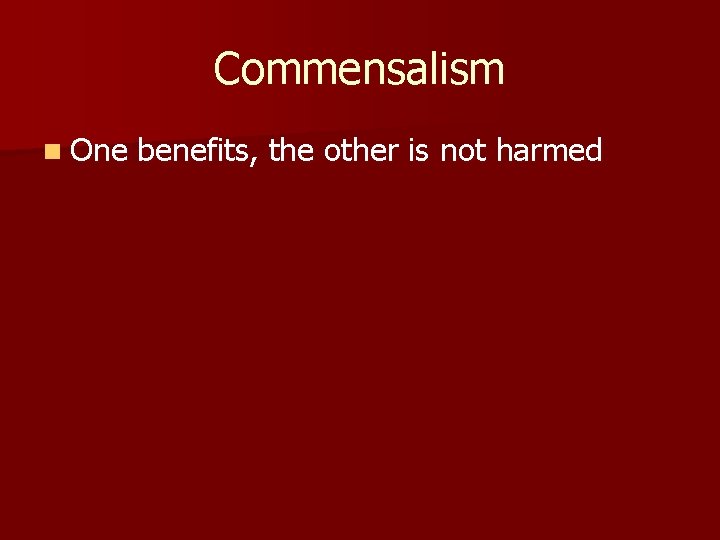 Commensalism n One benefits, the other is not harmed 