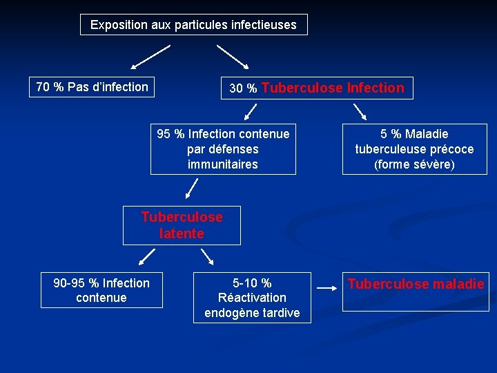 Exposition aux particules infectieuses 70 % Pas d’infection 30 % Tuberculose Infection 95 %