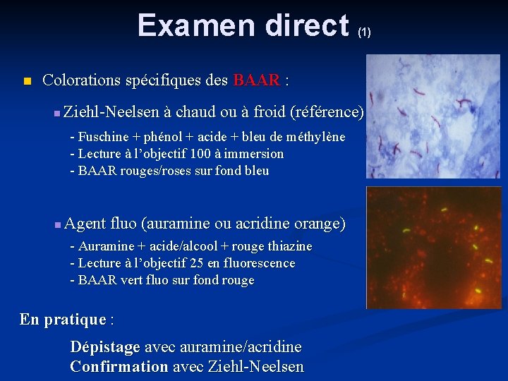 Examen direct (1) Colorations spécifiques des BAAR : Ziehl-Neelsen à chaud ou à froid