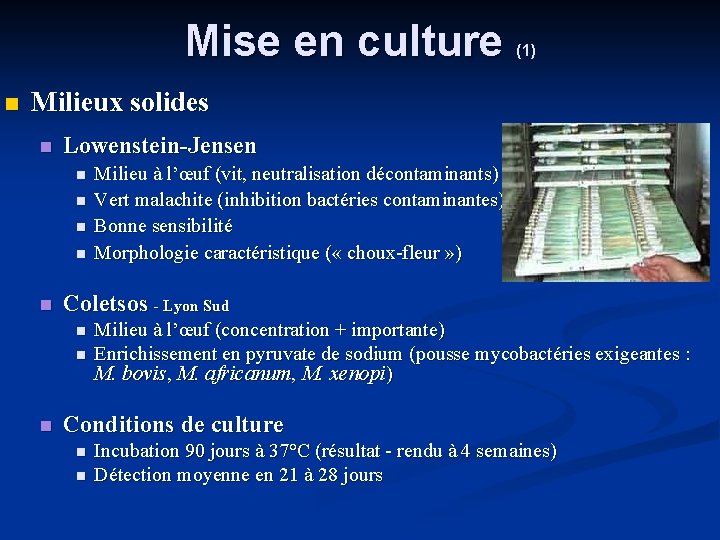 Mise en culture (1) Milieux solides Lowenstein-Jensen Coletsos - Lyon Sud Milieu à l’œuf