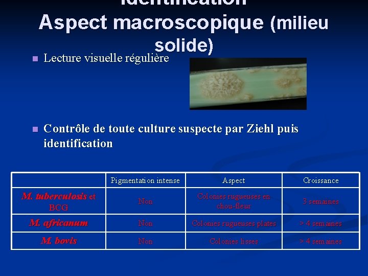 Identification Aspect macroscopique (milieu solide) Lecture visuelle régulière Contrôle de toute culture suspecte par