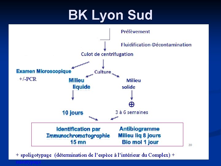 BK Lyon Sud +/-PCR + spoligotypage (détermination de l’espèce à l’intérieur du Complex) +