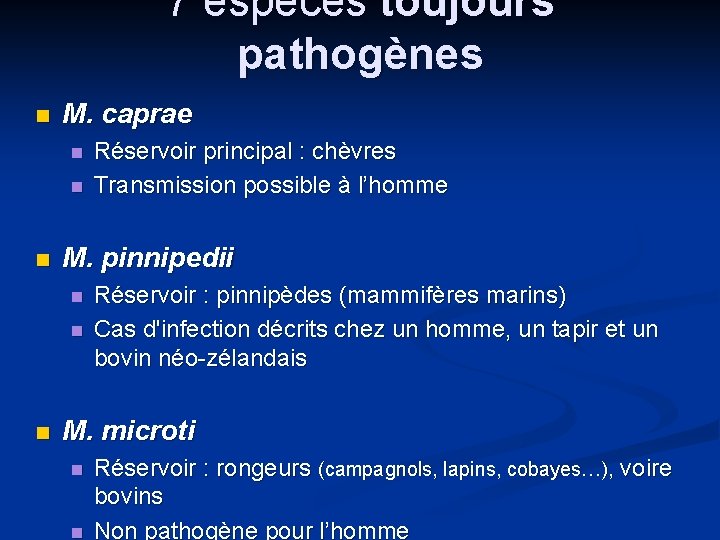 7 espèces toujours pathogènes M. caprae M. pinnipedii Réservoir principal : chèvres Transmission possible