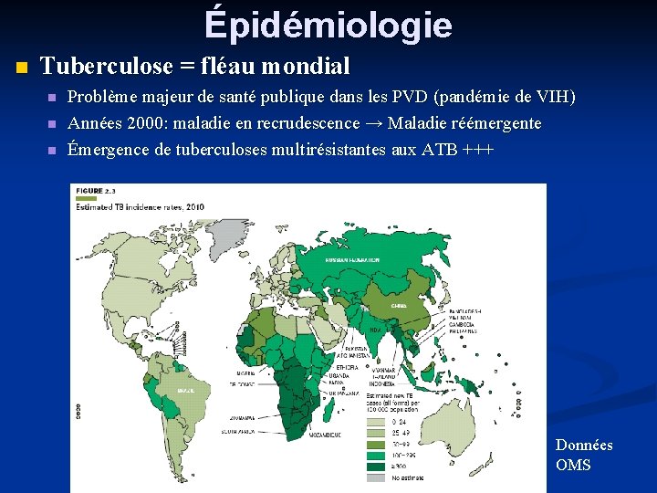 Épidémiologie Tuberculose = fléau mondial Problème majeur de santé publique dans les PVD (pandémie