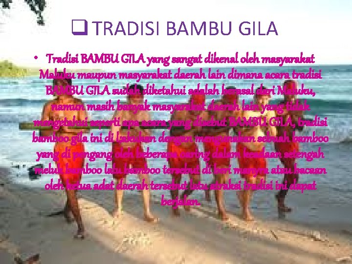 q TRADISI BAMBU GILA • Tradisi BAMBU GILA yang sangat dikenal oleh masyarakat Maluku