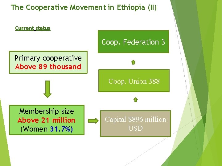 The Cooperative Movement in Ethiopia (II) Current status Coop. Federation 3 Primary cooperative Above