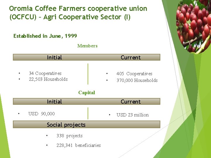 Oromia Coffee Farmers cooperative union (OCFCU) – Agri Cooperative Sector (I) Established in June,