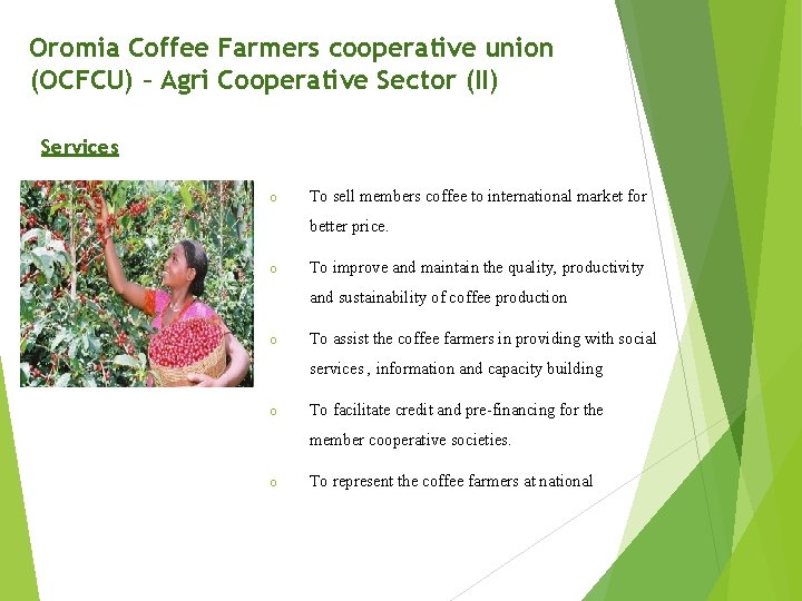 Oromia Coffee Farmers cooperative union (OCFCU) – Agri Cooperative Sector (II) Services o To