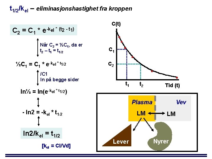 t 1/2/kel – eliminasjonshastighet fra kroppen C 2 = C 1 * e-kel *