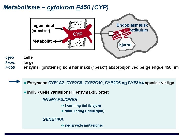 Metabolisme – cytokrom P 450 (CYP) Legemiddel (substrat) CYP Metabolitt cyto krom P 450