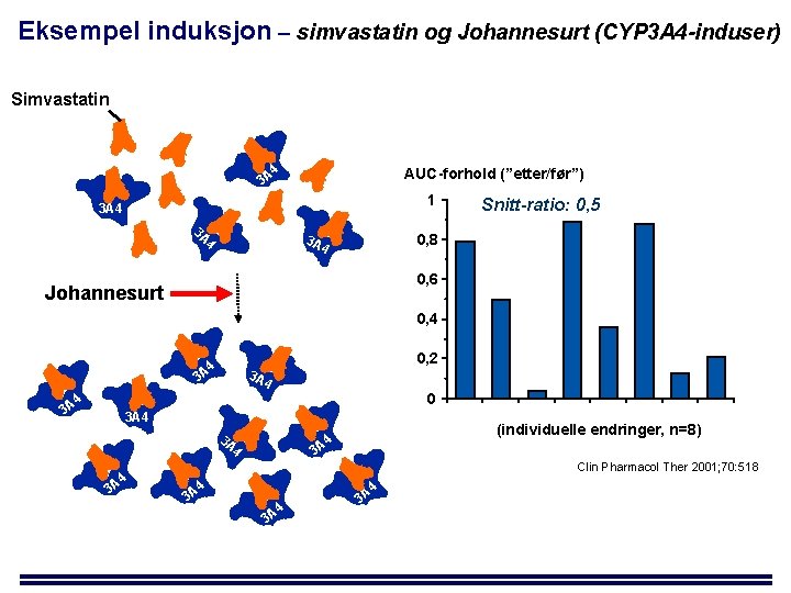 Eksempel induksjon – simvastatin og Johannesurt (CYP 3 A 4 -induser) Simvastatin 4 AUC-forhold