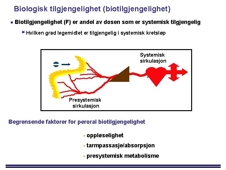 Biologisk tilgjengelighet (biotilgjengelighet) Biotilgjengelighet (F) er andel av dosen som er systemisk tilgjengelig Hvilken