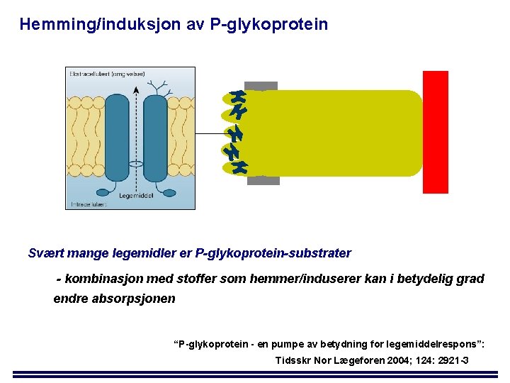 Hemming/induksjon av P-glykoprotein Svært mange legemidler er P-glykoprotein-substrater - kombinasjon med stoffer som hemmer/induserer
